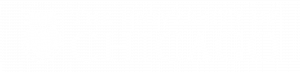 the_university_of_chicago